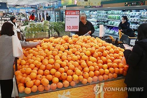 서울 이마트 용산점에서 오렌지를 고르는 시민들.