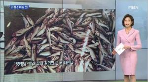 해수부 "국내산 생태탕 판매 금지"..최고 2년 이하 징역·2천만원 이하 벌금