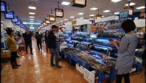고등어·갈치·오징어 등 주요 수산물 가격 정보 매일 제공