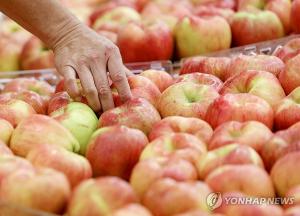 "9월 과일 작년보다 비싸다…사과 최대 161%,배 68% 오를 듯"