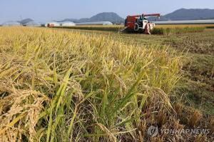 농식품부 "올해 수확기 쌀값 가마당 20만원 넘어…8.7% 증가"